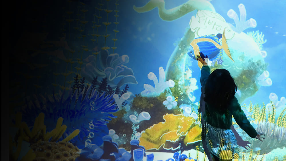 Muro de dibujo interactivo
   