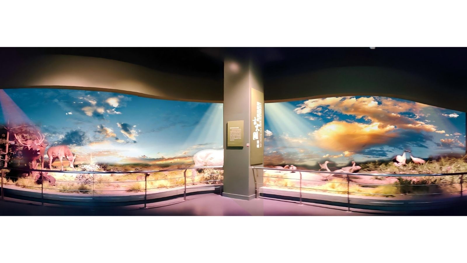 Sala Digital del Museo Daqing
   