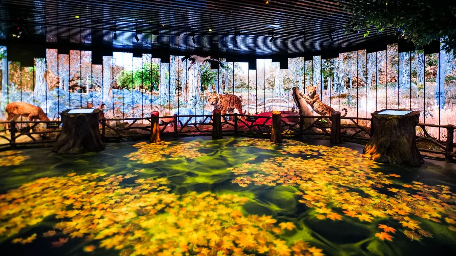 Sala de exposiciones culturales de la Aldea de la Nieve
   